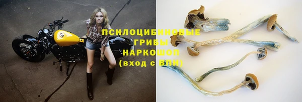марихуана Бородино