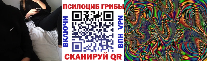 продажа наркотиков  Северобайкальск  Псилоцибиновые грибы MAGIC MUSHROOMS 